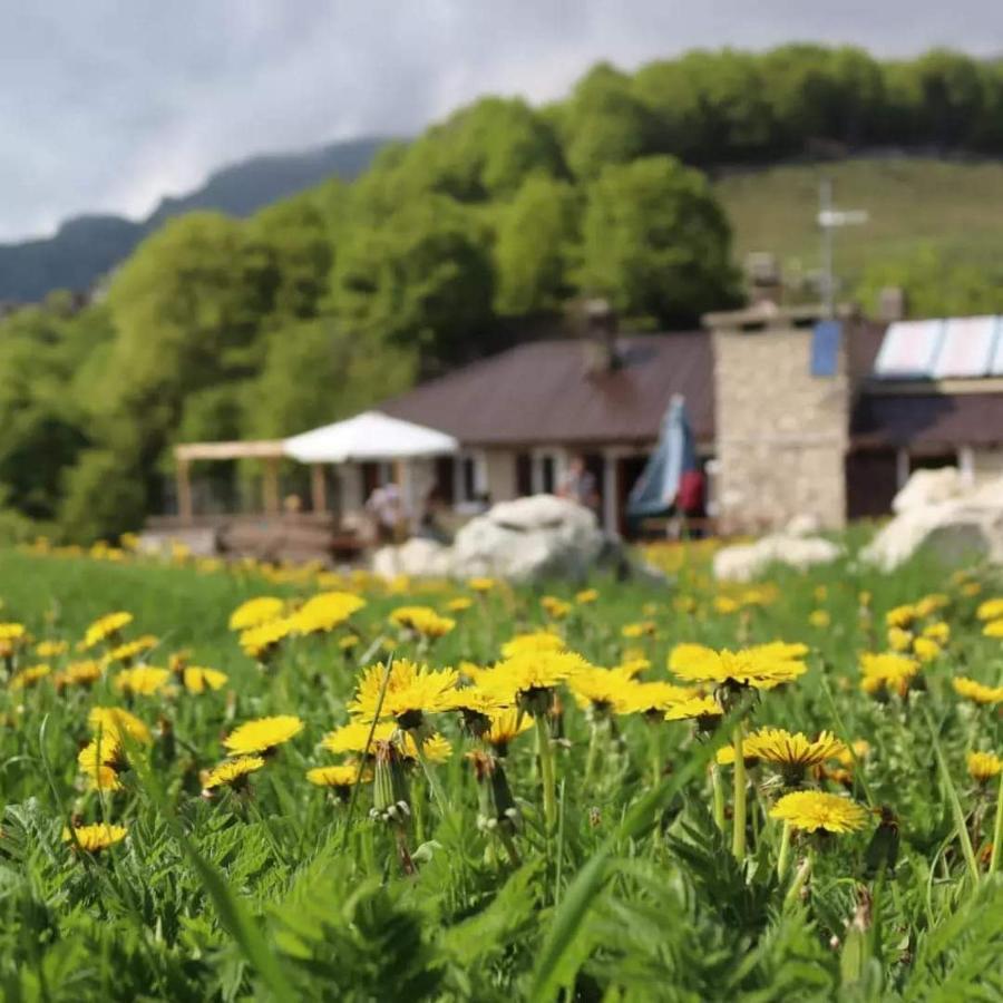 Rifugio Baita Fos-Ce Brentonico Bagian luar foto